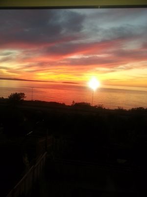 Photo 41- click for photo gallery